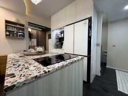 The Terrace (D19), Condominium #574109491